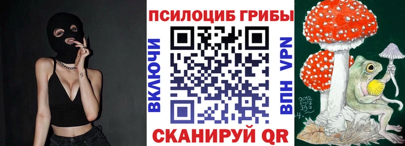 Псилоцибиновые грибы Psilocybe  Тетюши 