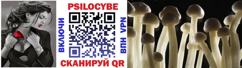 Псилоцибиновые грибы GOLDEN TEACHER Тетюши